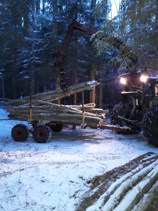 Skogsmaskin lastar timmer på släp i snöig skog vid skymning.