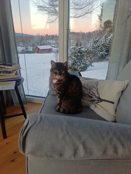 En katt på en soffa framför ett fönster med snötäckt landskap och solnedgång.