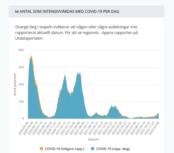 Graf över antalet COVID-19-patienter i intensivvård dagligen, med tidigare och aktuella rapporteringsdata.