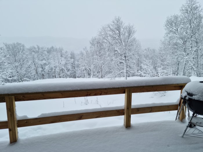 Snötäckt terrass med grill och utsikt över vinterklädda träd samt dimmigt landskap.