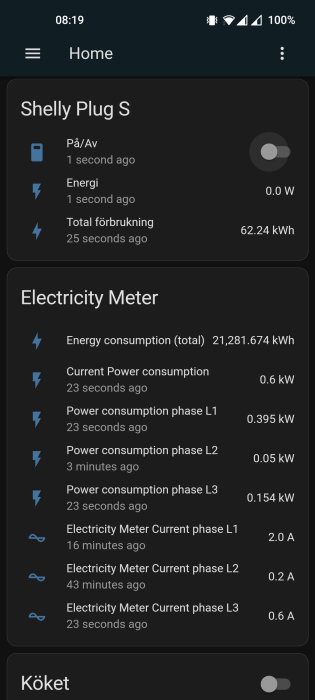 Skärm visar energiförbrukningsdata för "Shelly Plug" och el-mätare i en applikation.