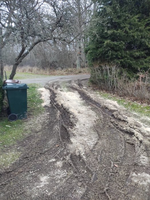 Grusväg med djupa hjulspår, grått väder, gröna sopkärl, träd, buskar, ute på landet.