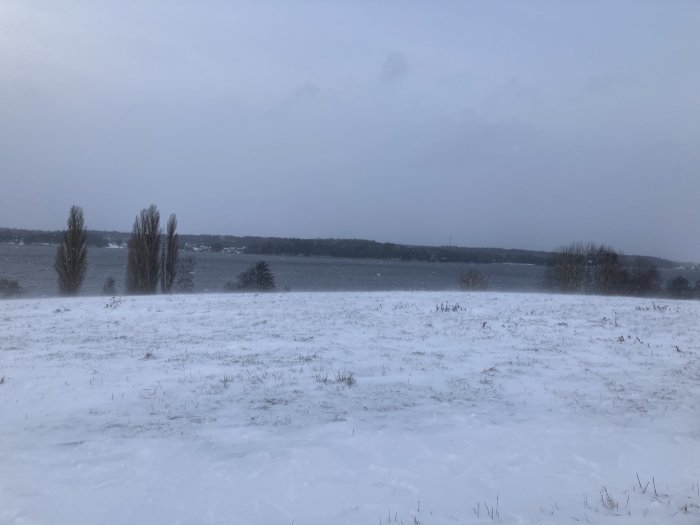 Vinterscen, snötäckt fält, träd, molnig himmel, lugn sjö, dämpade färger, kyligt landskap, ingen mänsklig aktivitet.