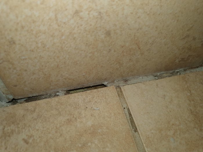 Kakel nära hörn med synlig skada och mögel eller smuts i fogarna.