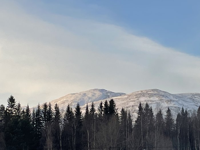 Snöklädda bergstoppar, skogsdunge i förgrunden, blå himmel med lätt molnighet. Tranquill och majestätisk naturvy.