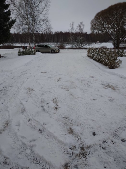 Vinterlandskap, bil parkerad, snötäckt mark, spår, träd, grå himmel, dagsljus, kallt utseende, grå bil framför.