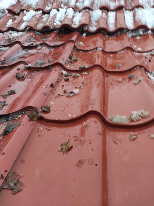Röda takpannor med smält snö och löv, närbild, vått, grått väder.