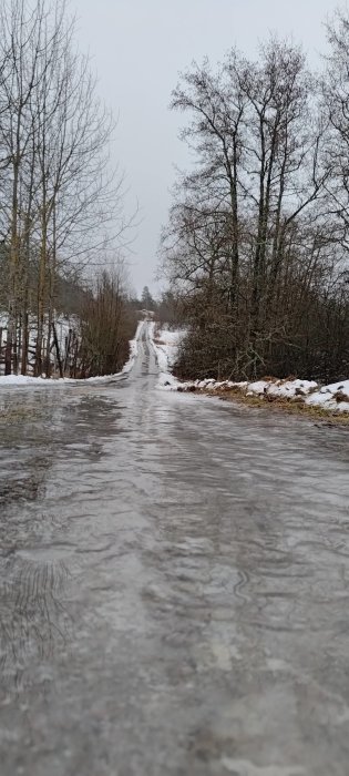 En isig landsväg omgiven av snötäckta träd och buskar, med en röd stuga i bakgrunden.