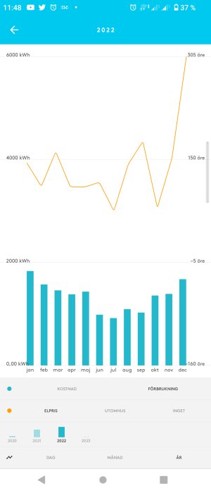Linjediagram visar elpris variation, stapeldiagram visar månatlig kostnad för el 2022.