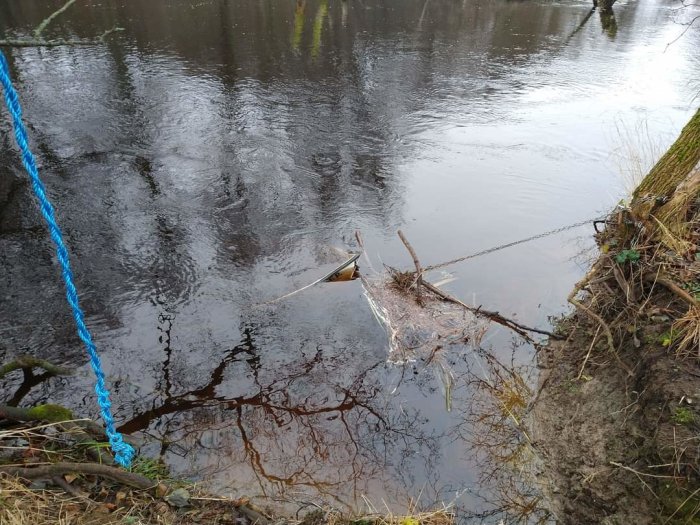 Flodkant, spegelblankt vatten, blått rep, grenar i vatten, reflektion av träd, höst eller vinter, naturscen.