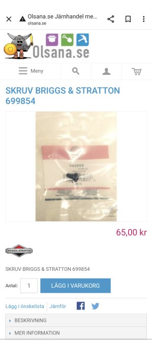 Webbsida som visar produkt, Briggs & Stratton skruv, förpackning, prisangivelse, köpknapp.