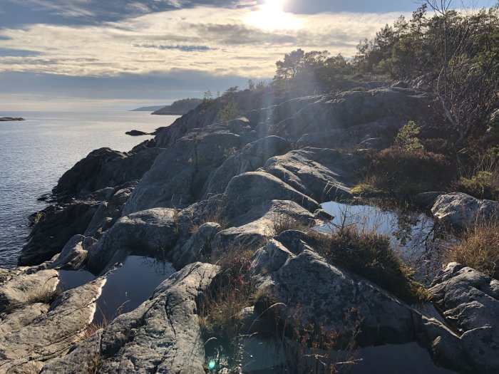 Klippig kustlinje, solsken, stilla vatten, fläckvis vegetation, en del av havsutsikt.