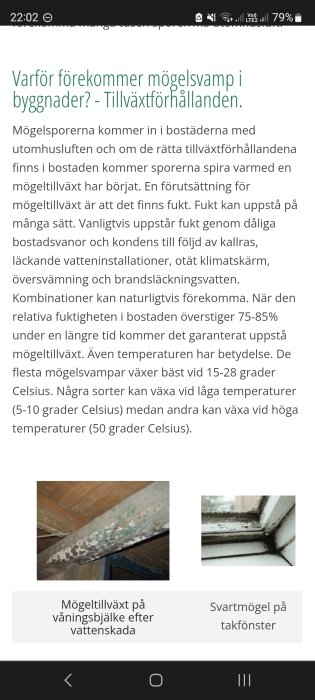 Artikel om mögelsvamp i byggnader, fuktighetens roll, med bilder på mögeltillväxt och svartmögel på fönster.