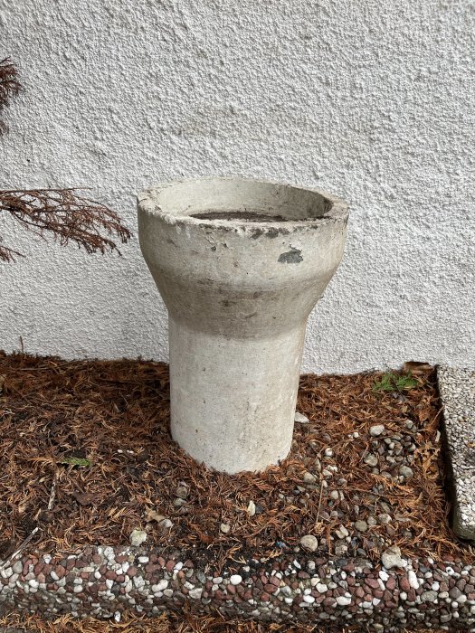 Cementvas står mot vit vägg på mark täckt av barr och småsten. Sliten, robust, enkel design.