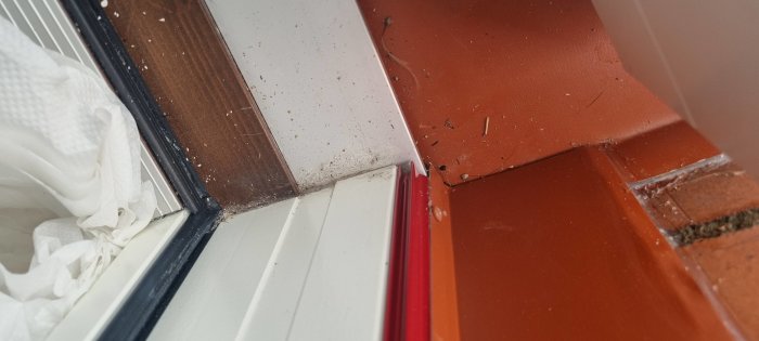 Närbild, fönsterhörn, damm, smuts, spindelnät, trä, plåstret fönsterram, tegelliknande yta, fuktighetsspår, behov av rengöring.