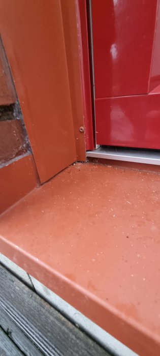 Röd dörr med svampväxt i hörn på dörrkarmens nedre del.