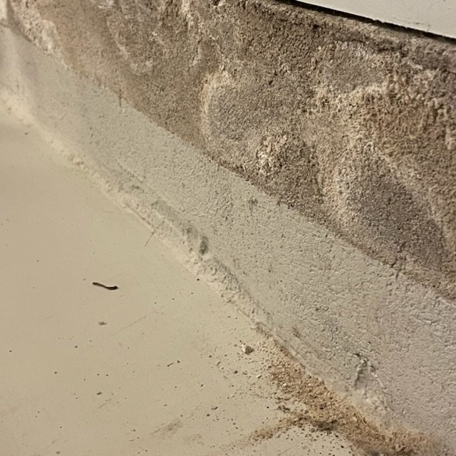 Gammal vägg, fuktskada, mögel, vitmålat, slitet, smutsigt golv, byggnadsunderhåll behövs.