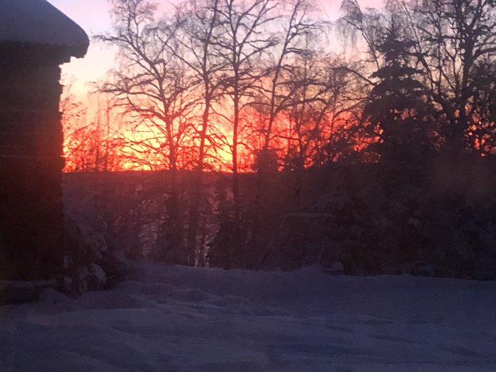 Vibrant sunset, snow-covered landscape, silhouetted trees, deep reds and oranges, winter evening, serene nature scene.