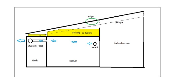 Sektionsritning av en byggnad visar isolering, mögel, och ventilationssystem, inklusive utvändigt uterum och förråd.