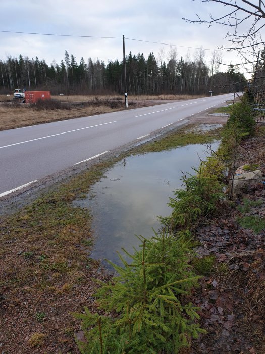 Grå dag, vattensamling vid vägkant, barrträd förgrunden, lastbil och skog bakgrunden.