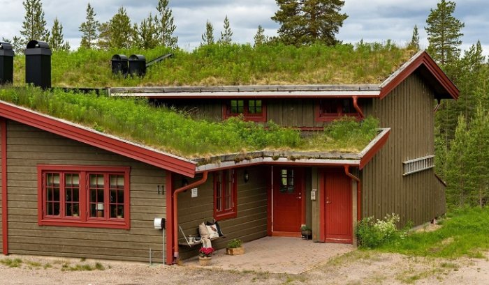 Ett trähus med grönt sedumtak, röda fönsterluckor, en person sitter på trappsteget, skogsmiljö.