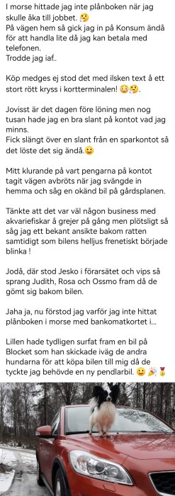 Hund på röd bil, överraskning, glädje, personlig berättelse, missförstånd, humoristisk twist, bankomatkort, planbok.