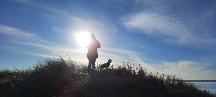 Person och hund står på sanddyn mot solnedgångens ljus, blå himmel, fredlig natur.