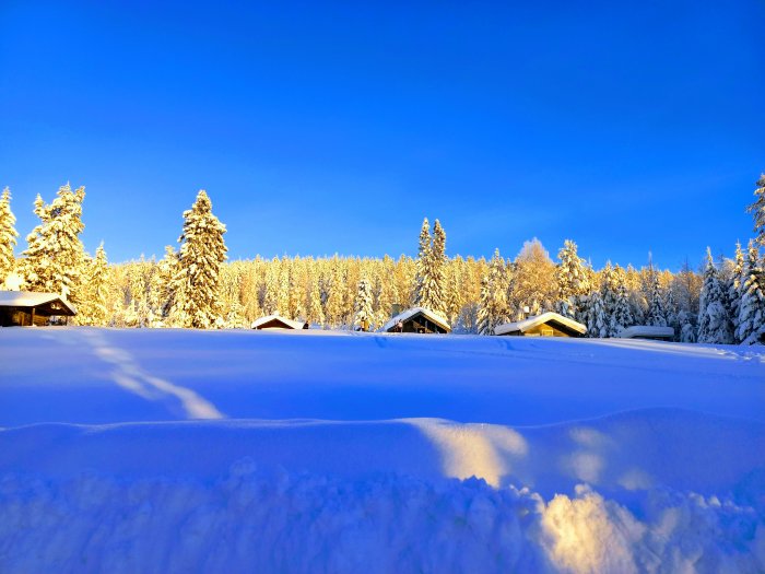 Vinterlandskap, snötäckta träd, klarblå himmel, lågt solsken, snödrivor, små hus dolda i snön.