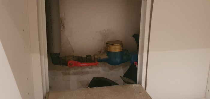 20230128_224653.jpg