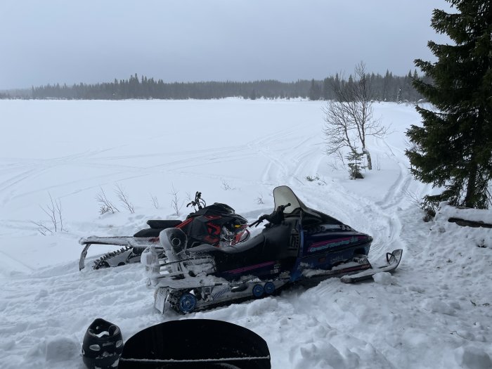 Två snöskotrar i vintert landskap med träd, snö och dimmig himmel i bakgrunden.