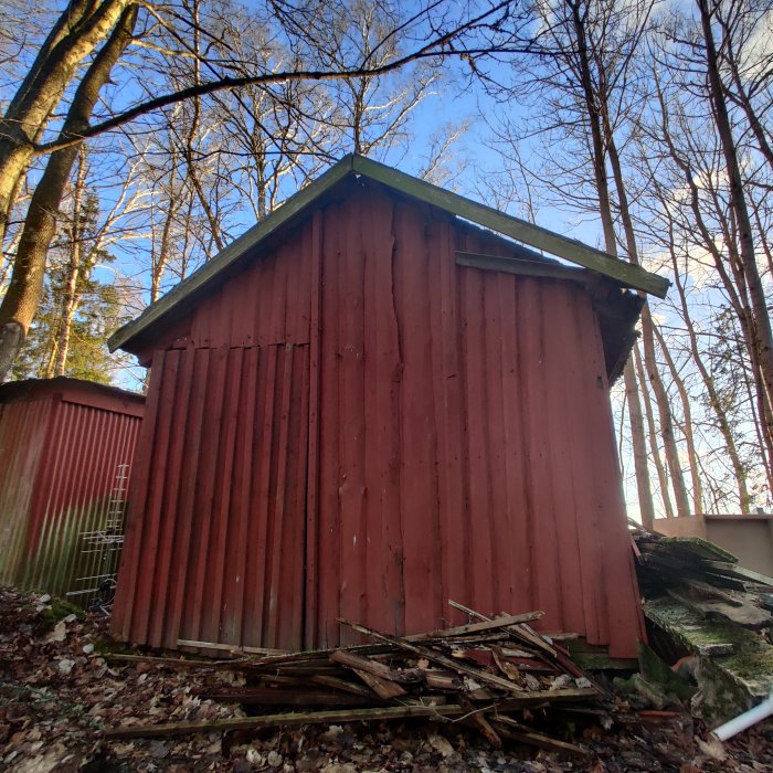 Rött skjul i skog, bråte framför, träd runtom, klarblå himmel ovanför.