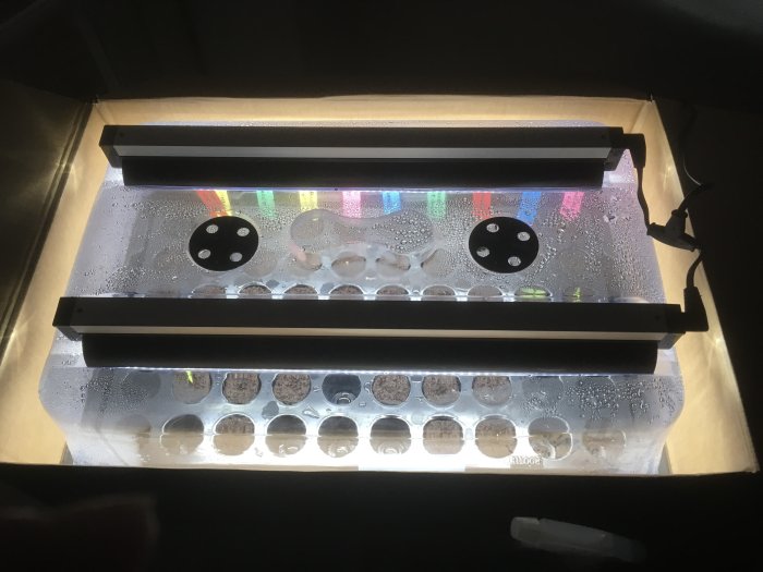 Inomhusodlingssystem med LED-belysning, plantkapslar, fuktighet, växande små plantor i kontrollerad miljö.