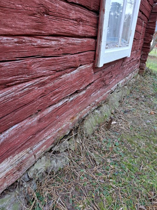 Rödmålad timrad vägg, fönster, vitmålad karm, slitet, gammalt, naturgrund, gräs och löv.