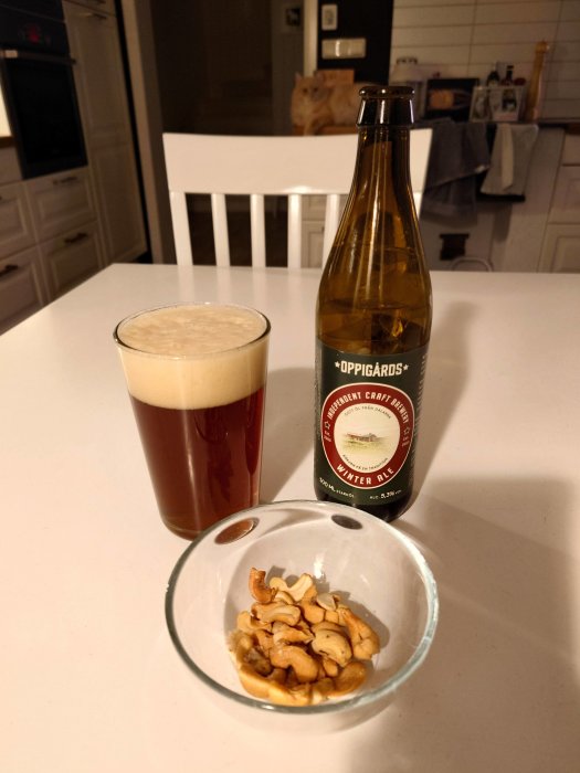 Ölglas med skum, ölflaska, skål med cashewnötter, kök, orange katt i bakgrunden.