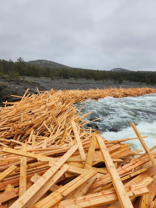 Vild flodström med virke, molnig himmel, barrskog i bakgrunden, naturkatastrof eller timmerflottningsscenario.