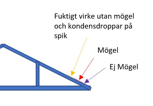 Diagram visar takstruktur med mögelindikationer, kondens och fukt i virke.