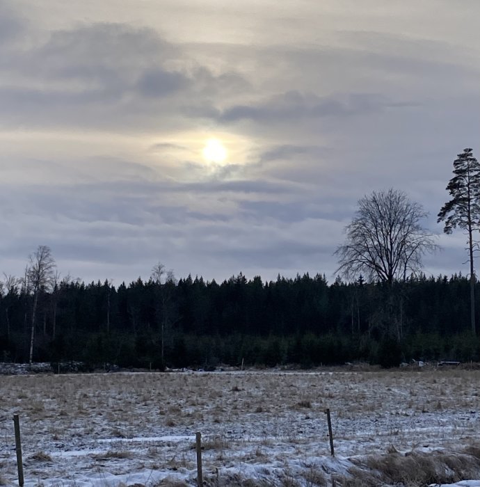Vinterlandskap med molntäckt himmel, svagt solsken, snöfläckar på marken, skogsbakgrund och staket i förgrunden.