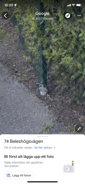 Skärmdump från Google Maps, adress och uppmaning att ladda upp foto, träd och grusväg syns.