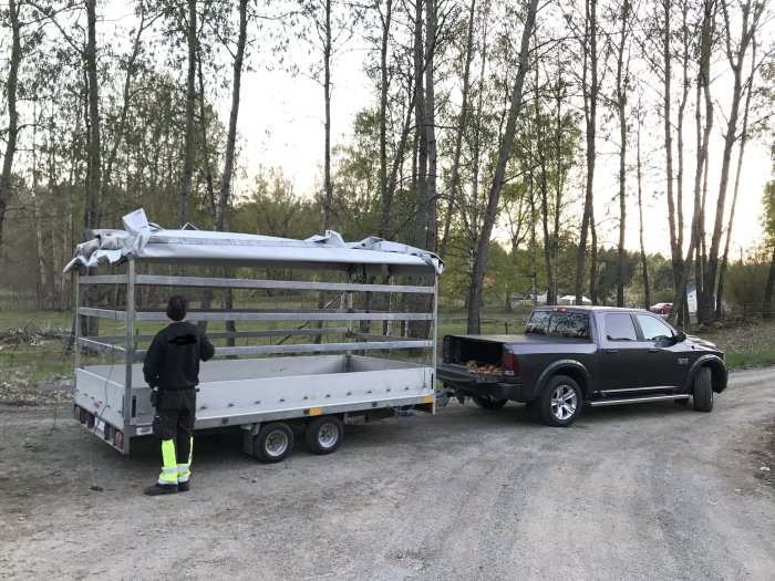 Pickup med släpvagn i skogsmiljö, person står vid släp, hög synlighet, kvällstid.