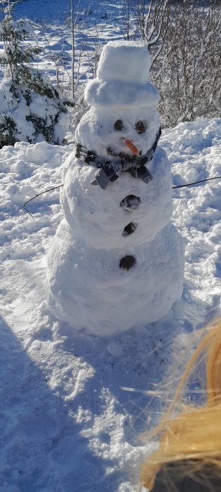 Snögubbe med hatt, halsduk, morotsnäsa och knappar, i solig snöig miljö.