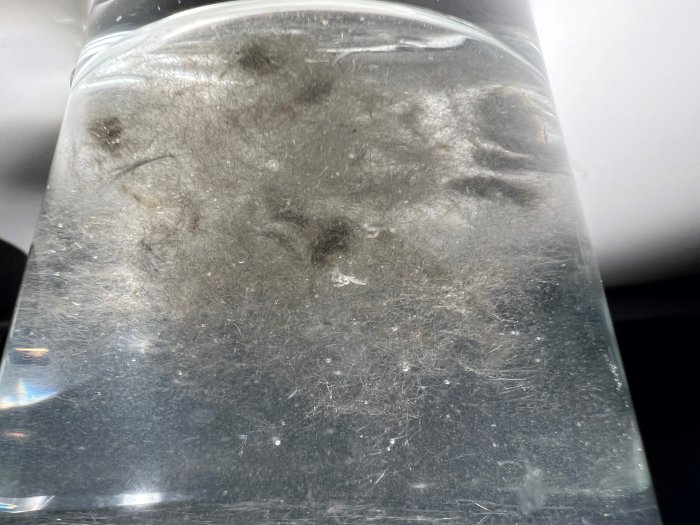 En genomskinlig behållare med damm och små partiklar, möjligtvis en dammsugares behållare eller filter.