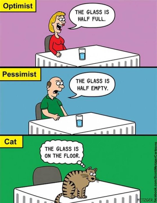 Tecknad bild visar olika perspektiv: optimist, pessimist, katt, kring halvfullt eller halvtomt glas.