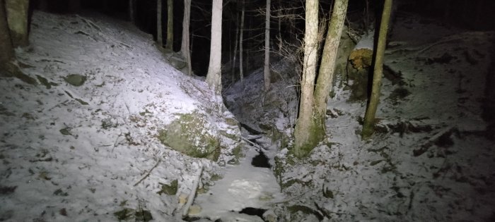 Nattskog med snö, stenar, och träd, belyst av en ficklampa eller pannlampa.