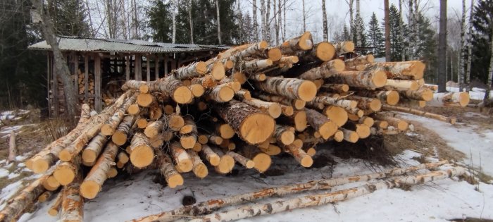 Sågade trädstammar, vinter, vedskjul, snötäckt mark, skog i bakgrunden.