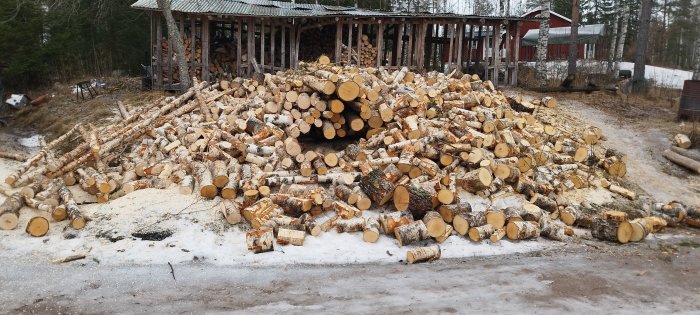 En stor hög med vedträn framför en vedbod, snö på marken, barrträd och byggnader i bakgrunden.