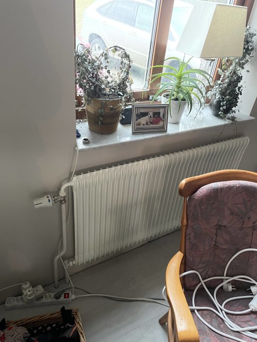 Inomhusmiljö med fönsterbrädan, växter, familjefoto, lampa, stol, grenuttag och radiator.