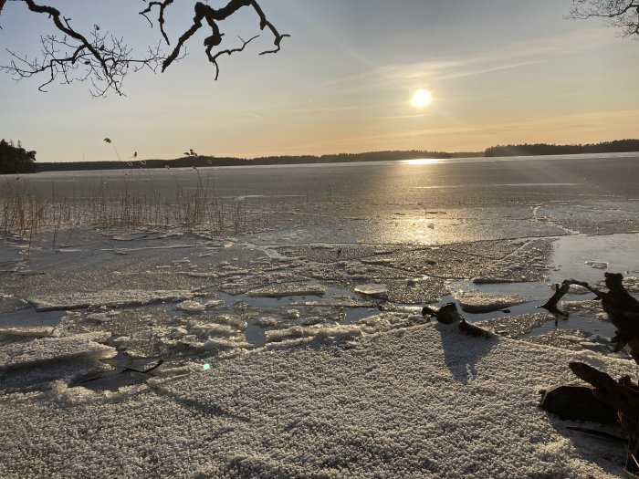 Solnedgång över frusen sjö med isflak och snötäckt mark, nakna grenar i förgrunden, lugnt och stilla.