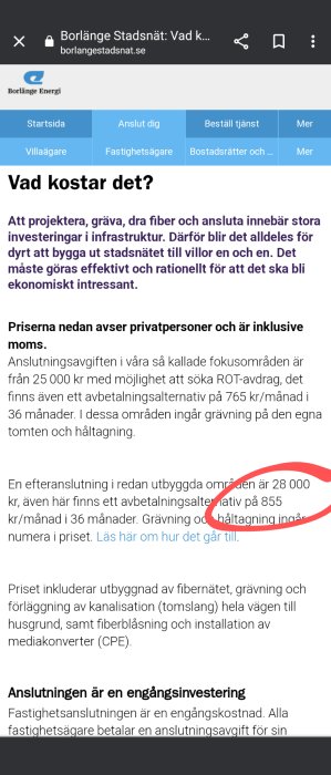 Skärmdump av hemsida som diskuterar kostnader för fiberanslutning med priser och avbetalningsalternativ i Sverige.