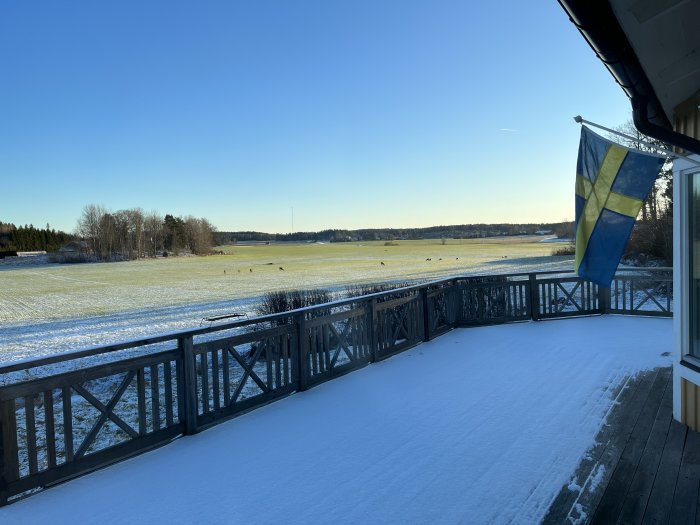 Snöig veranda, svenska flaggan, klarblå himmel, vinterdag, öppet fält, några fåglar, skogsbryn i bakgrunden.