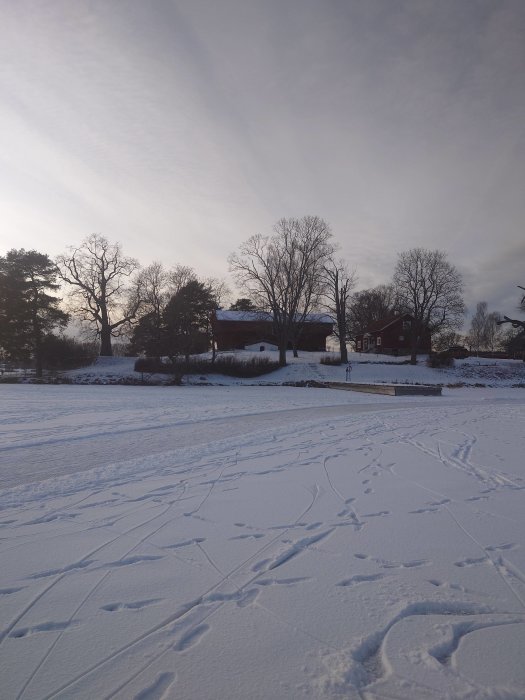 Snötäckt landskap med fotspår, röda hus i bakgrunden, kala träd och ett blekt vintersolens sken.